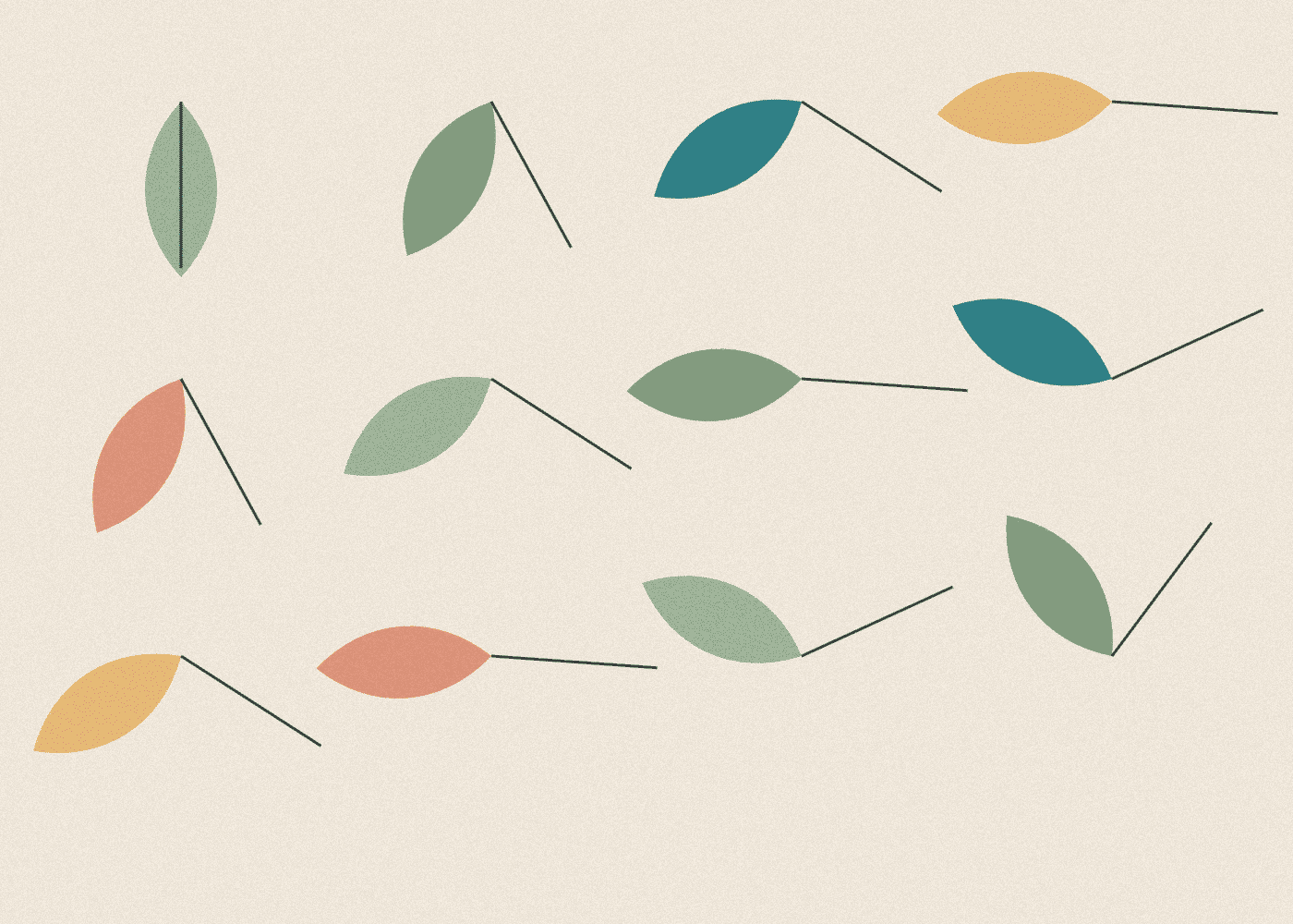 Herbier